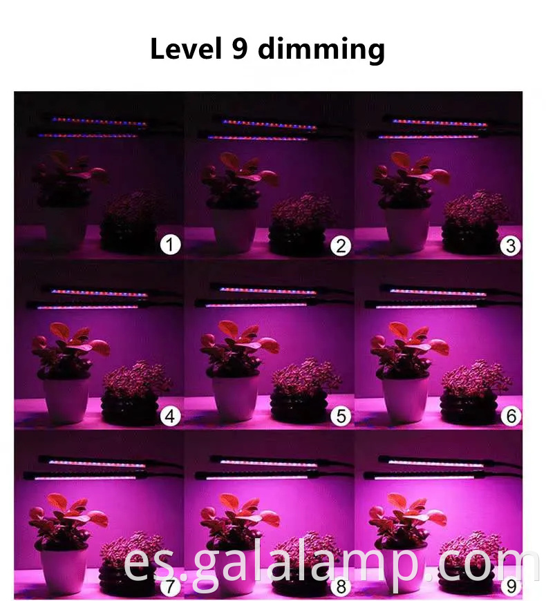 Luz de cultivo LED de espectro completo avanzado con temporizador y atenuación